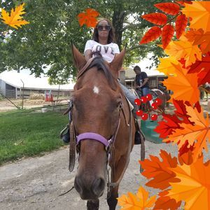 Meet your Posher, Merri